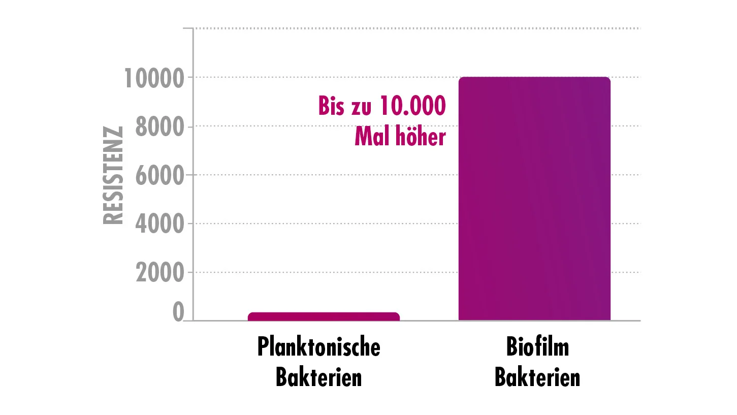 Balkendiagramm, dass die Resistenzen von Biofim darstellt. 